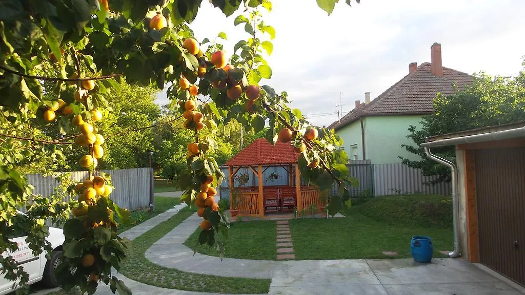 Tiszavirág Apartmanház Szeged
